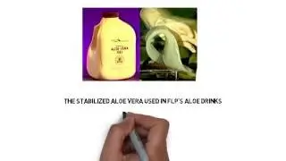 Aloe Vera Purity