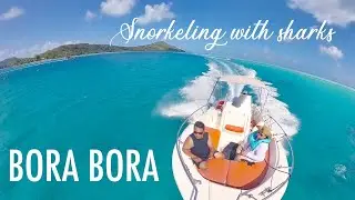 St Regis Bora Bora Day 4 & 5 Snorkeling with sharks, rays, and fish