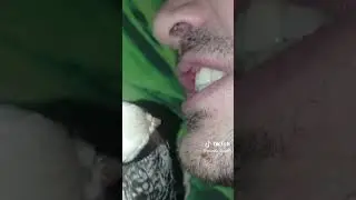 наш карелла попугайчик..