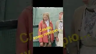 Ну вот тебе... #shorts