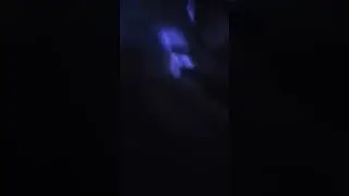 29 мая 2023 г.