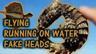 Five Of The Most Bizarre Predator Avoidant Adaptations In Lizards