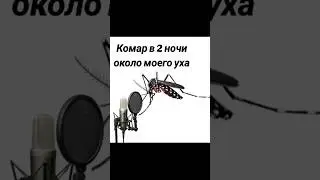 #мем #прикол #рофл #смех #шутки #стрим #стример #твич #нарезки #gllayme #глэйми #kpop #юмор #рек