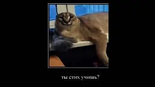 Как Шлёпа учит стих 