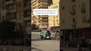 #egypt #cairo #wb #wildberries