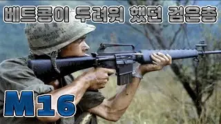 M16 Rifle