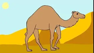 Camel Walk Cycle Final