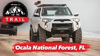 Off-Road Ocala National Forest Trails | On The Trail