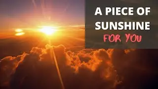 A piece of sunshine for you