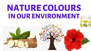 Colours in our Environment|| Primary Art Lesson