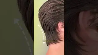 How to easily create a back of the head like this? 
