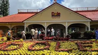 Dole Plantation In Oahu, Train Ride And Scenic Drive Around The Island