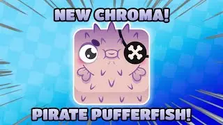 The FIRST PIRATE PUFFERFISH on YOUTUBE!