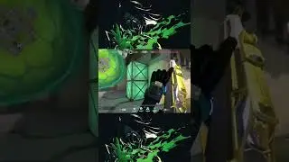 VIPER ONE WAY SMOKES