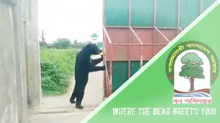 The bear is now opening the gate || Bangabandhu Sheikh Mujib Safari Park Gazipur