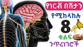 የነርቭ በሽታን የሚከላከሉ 8 በጣም ቁልፍ የሆኑ ንጥረነገሮችን የያዙ ምግቦች 🔥ተልባ 🔥