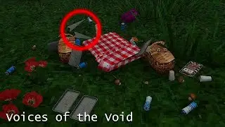 ПИКНИК АРИРАЛОВ — Voices Of The Void #14