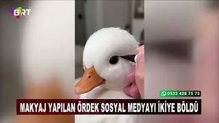 The duck that was made up divided social media.