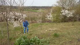 Defrisare teren si amenajare livada cu vedere la Neajlov /Singureni /Giurgiu / Romania . Episodul 1