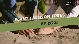 Foundation for National Parks & Wildlife Sponsorship Campaign