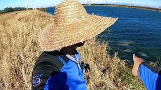 Kakalagay Lang Bigla Nalang Kumalabog Napatakbo Na At Nahuli Ang Lalakas