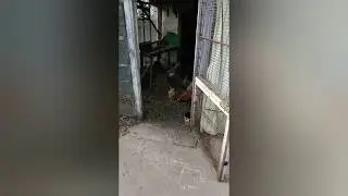 Карантин закончился
