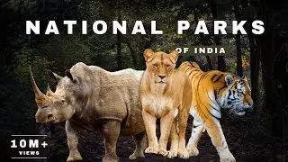 National Geographic// National Parks Of India // Natural & Animals