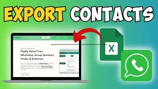 How to Export WhatsApp Group Contacts to Excel (Simple Export Guide)