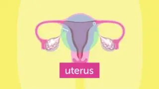 What actually *is* a period?
