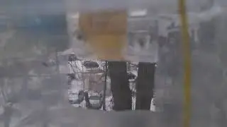 Tomtit 10