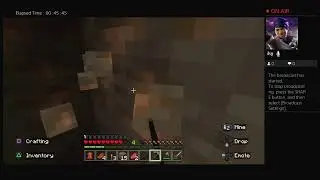 Playing minecraft