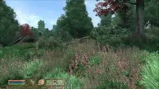 The Elder Scrolls IV: Oblivion Walkthrough w/Commentary Part 9