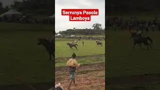 Menegangkan || Pasola Lamboya