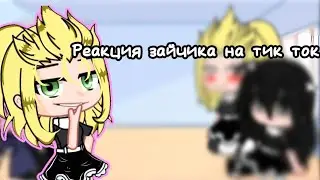|реакция зайчика на тик ток| Рома/Антон,Бяша/Катя)