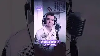 Верные друзья / кавер / 1 куплет / Сценакардия