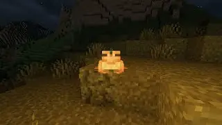Chill Minecrafting