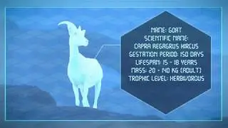 Goat Analysis - Motion Design
