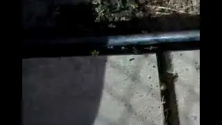 Сталкер 2 демо, текстуры в HD