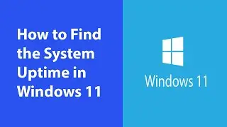 How to Find the System Uptime in Windows 11