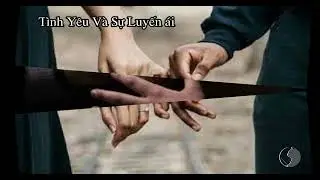 Tình Yêu Và Sự Luyến Ái