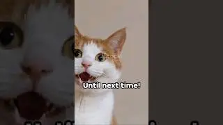 5 cute cat facts #facts #fact #factshorts #youtubeshorts #animal #animallover #animalfacts #youtube