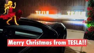 Tesla Holiday Light Show with Music! 2021 Model 3 New Christmas Dance 4K