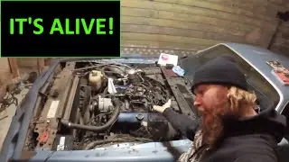 IT'S ALIVE! For the first time in years!