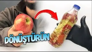 Making Vinegar at Home | Apple Cider Vinegar