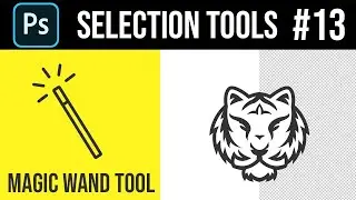 Magic Wand Tool   Adobe Photoshop Training For Beginners