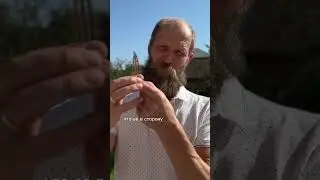 Яйцо как символ Жизни