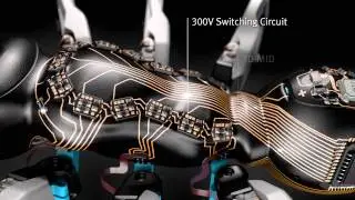 Festo – BionicANTs (English)