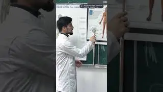 Газиев Магомед Газиевич - преподаватель анатомии и физиологии МК им. Башларова
