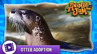 Animal Jam - Otter Adoption