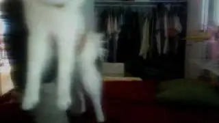 Clean Otis